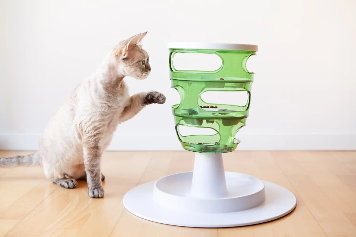 Foraging toys 2024 for cats